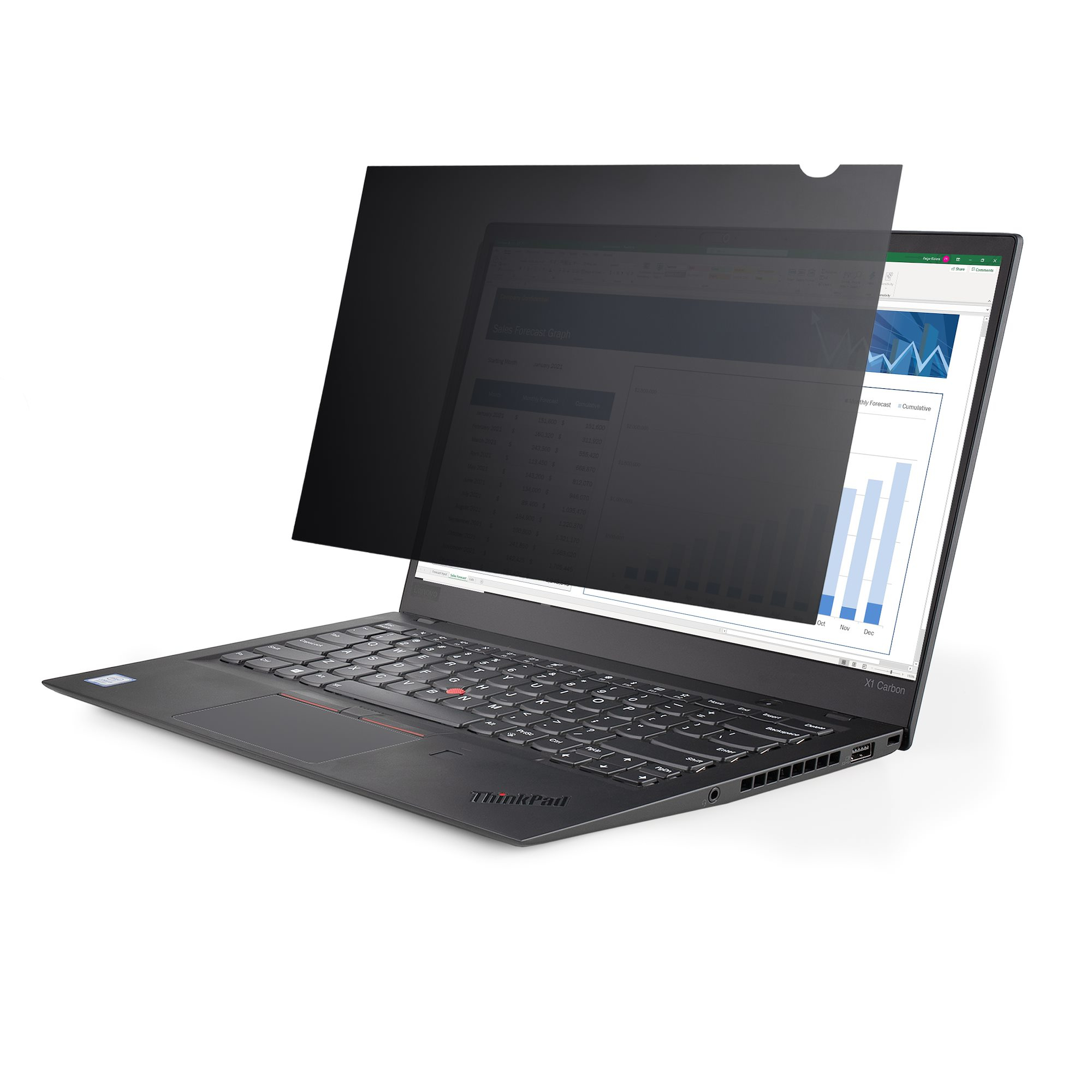 STARTECH StarTech.com Filtre de Confidentialité PC 15,6