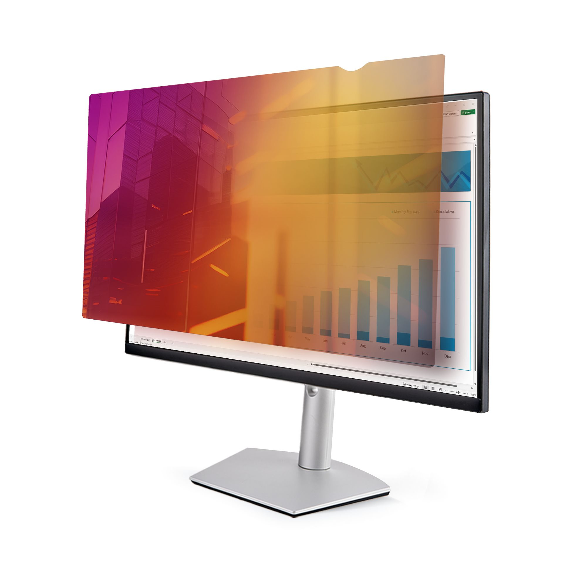 STARTECH StarTech.com Filtre de Confidentialité pour Écran 24
