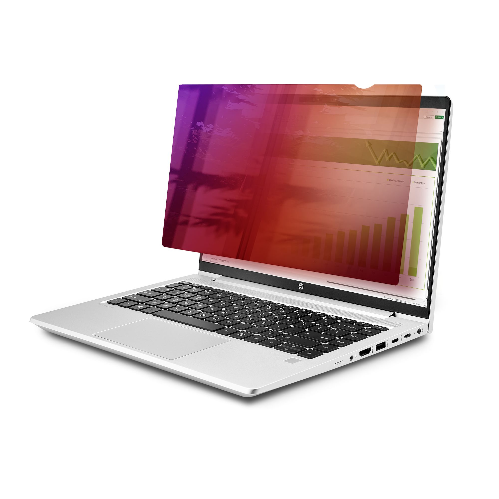 STARTECH StarTech.com Filtre de Confidentialité pour PC 15,6