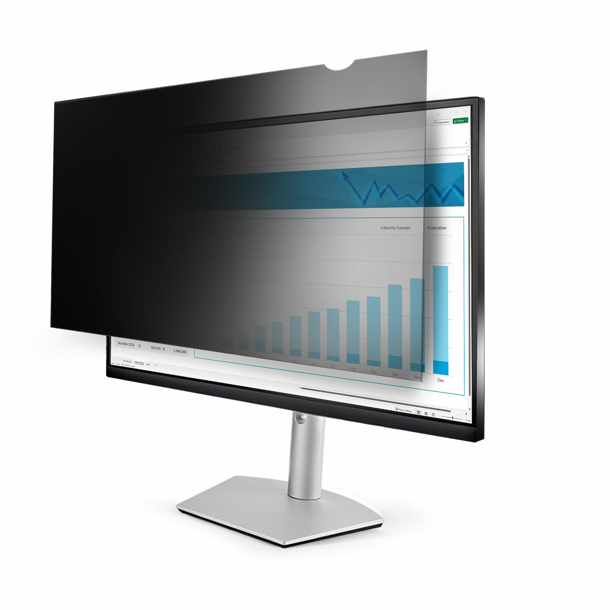 STARTECH StarTech.com Filtre de Confidentialité pour Écran 25