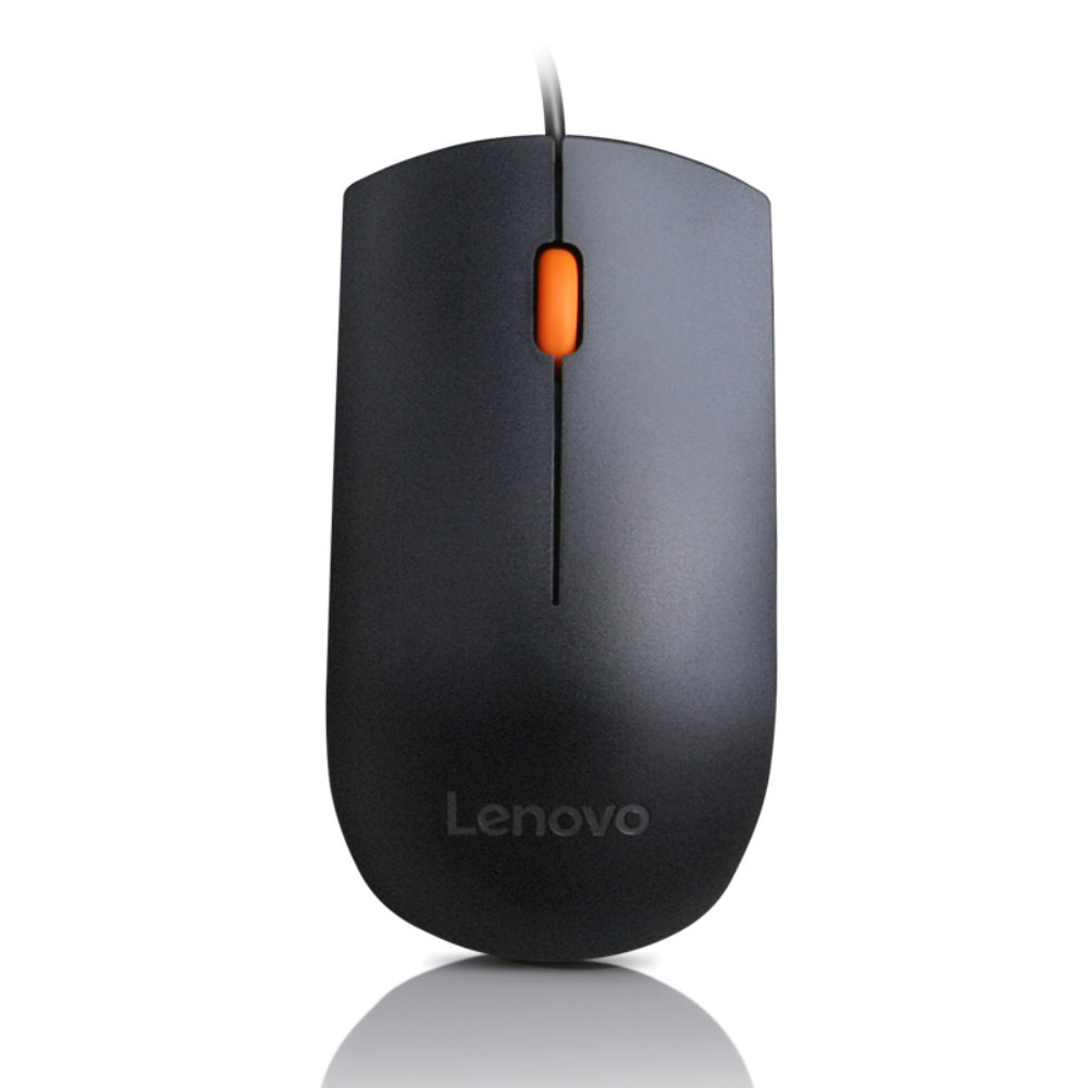 LENOVO Lenovo Souris Lenovo 300 Noir