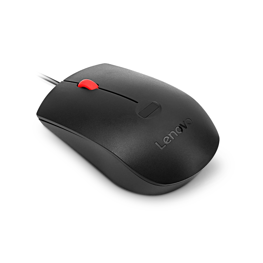 LENOVO Souris - ergonomique - optique - 3 boutons - filaire - USB-A - noir - boîtier marron - CRU