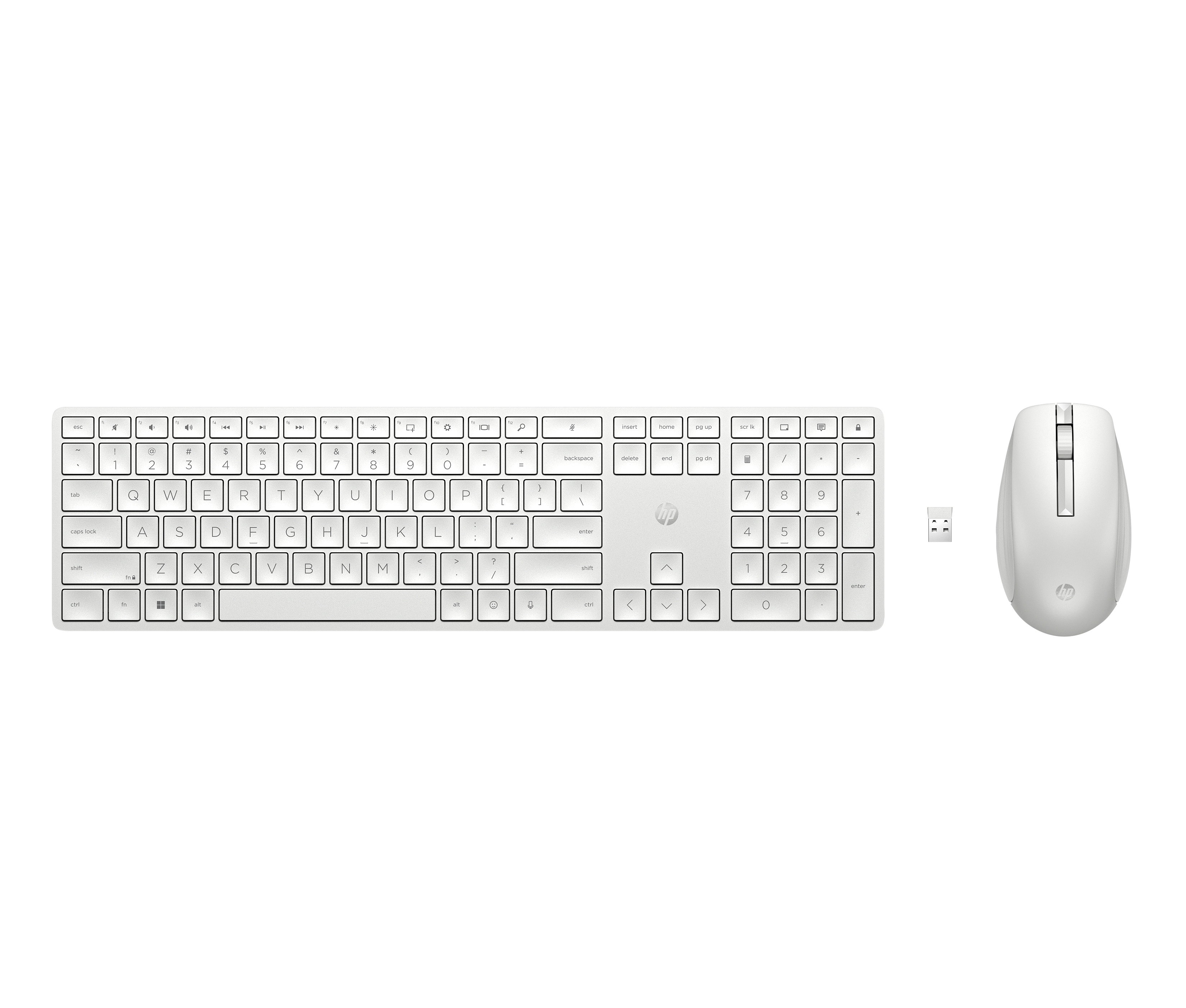 HP Ensemble clavier et souris sans fil 650