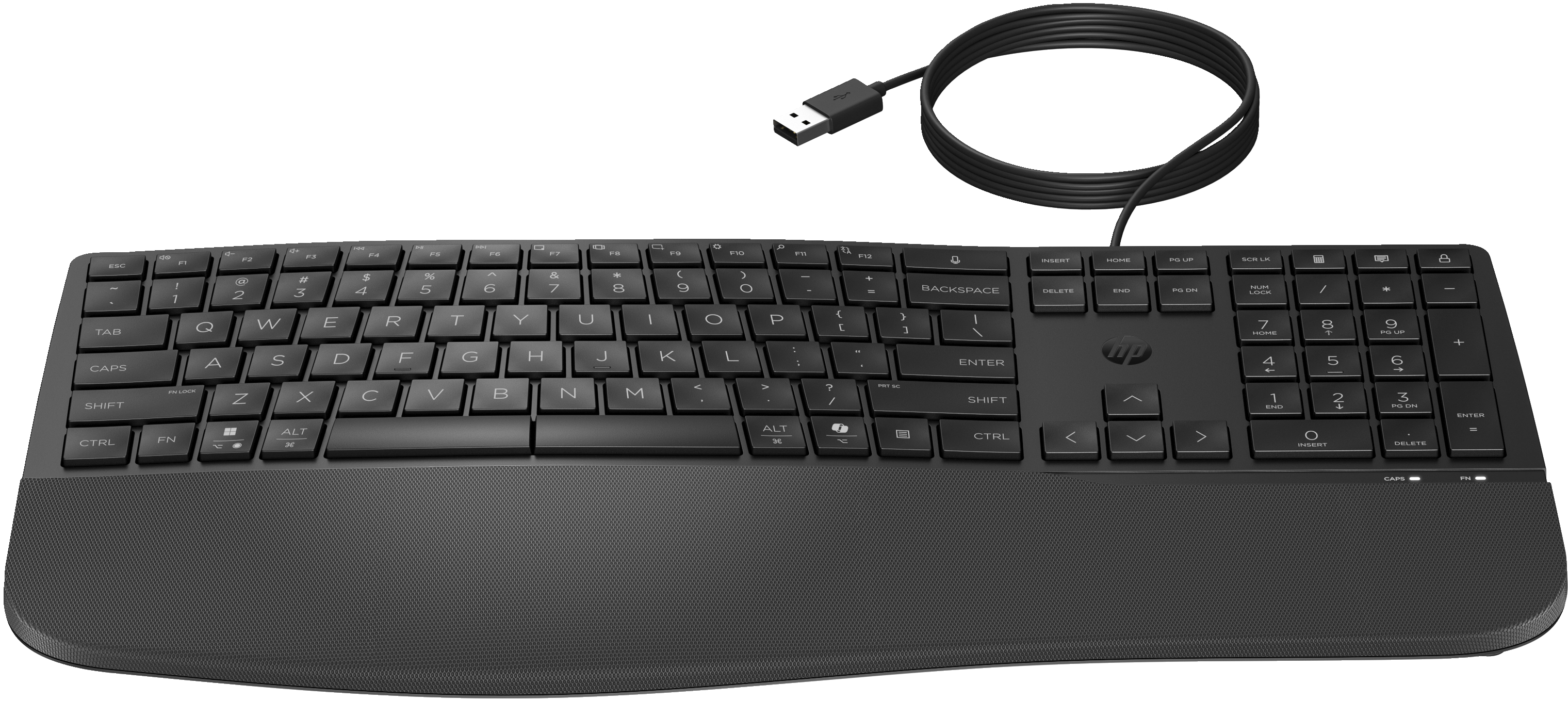 HP 485 CFT WD KBD France