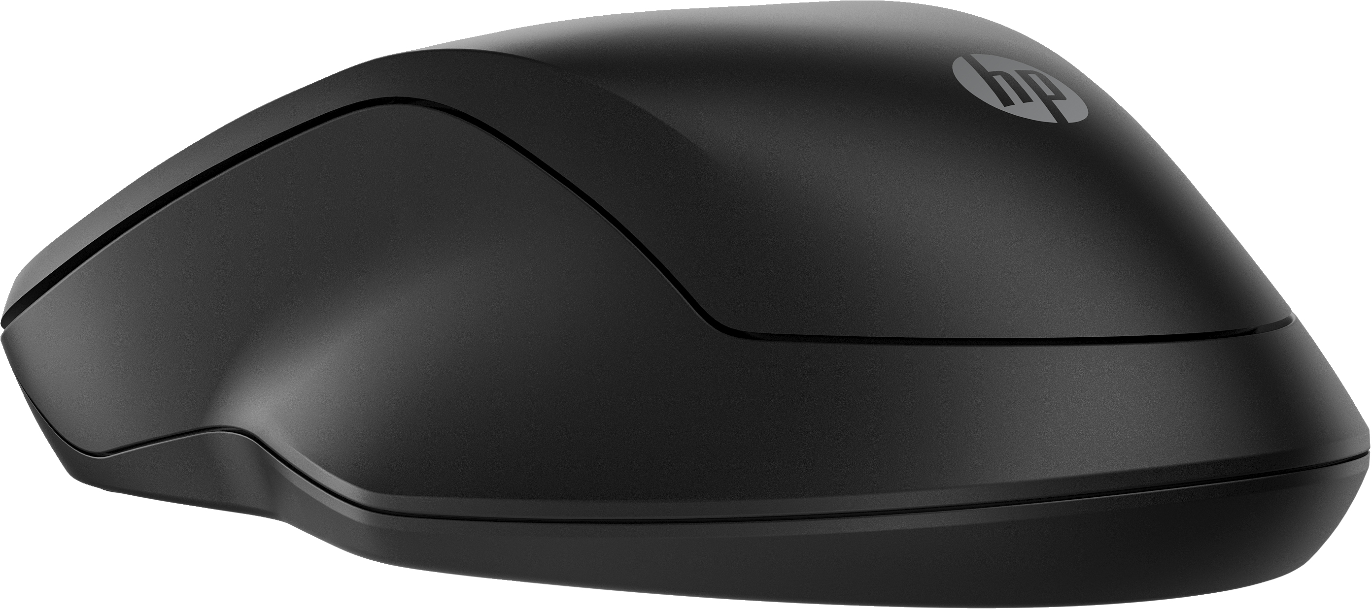 HP HP 255 Dual Wireless Mouse (EN)