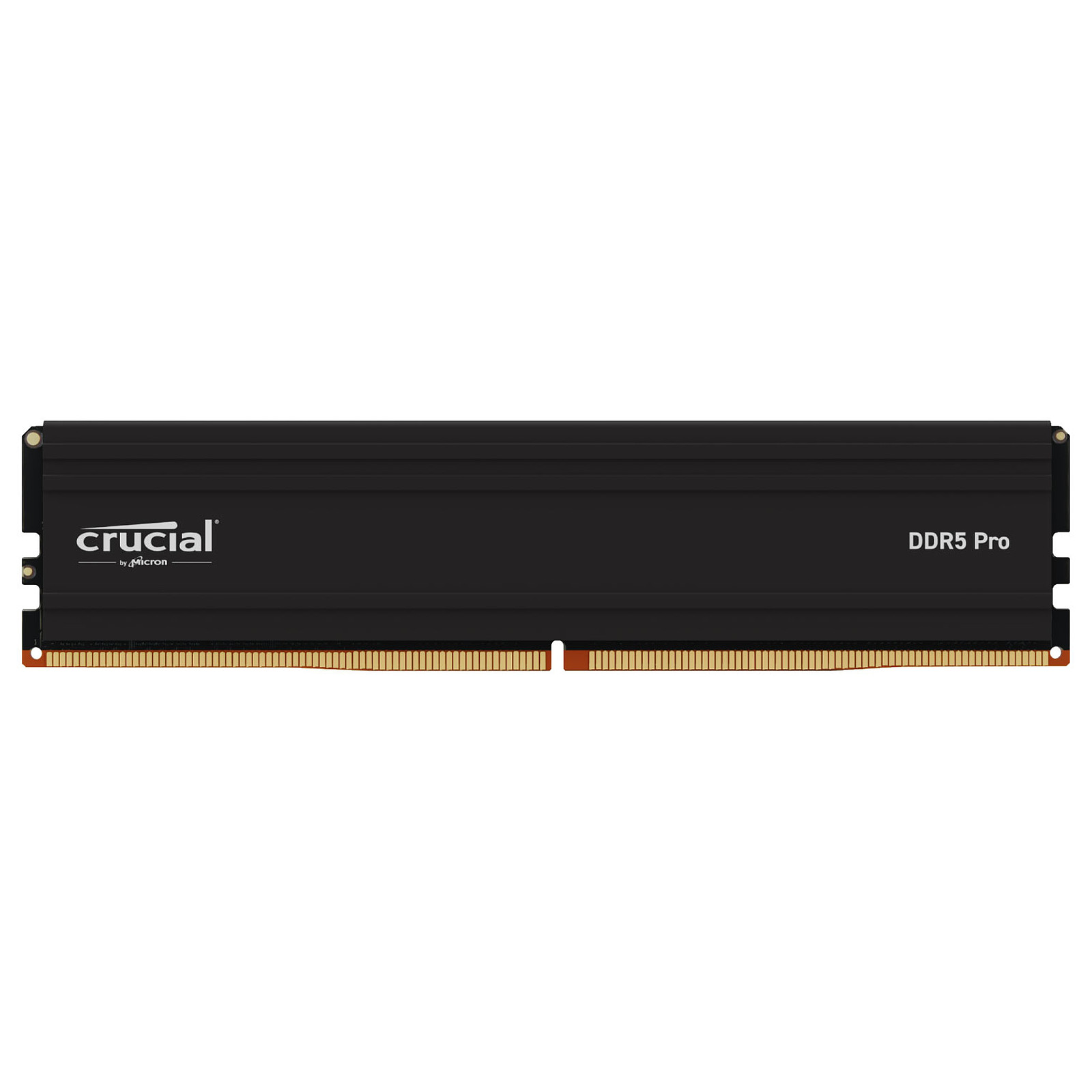 CRUCIAL CP32G56C46U5