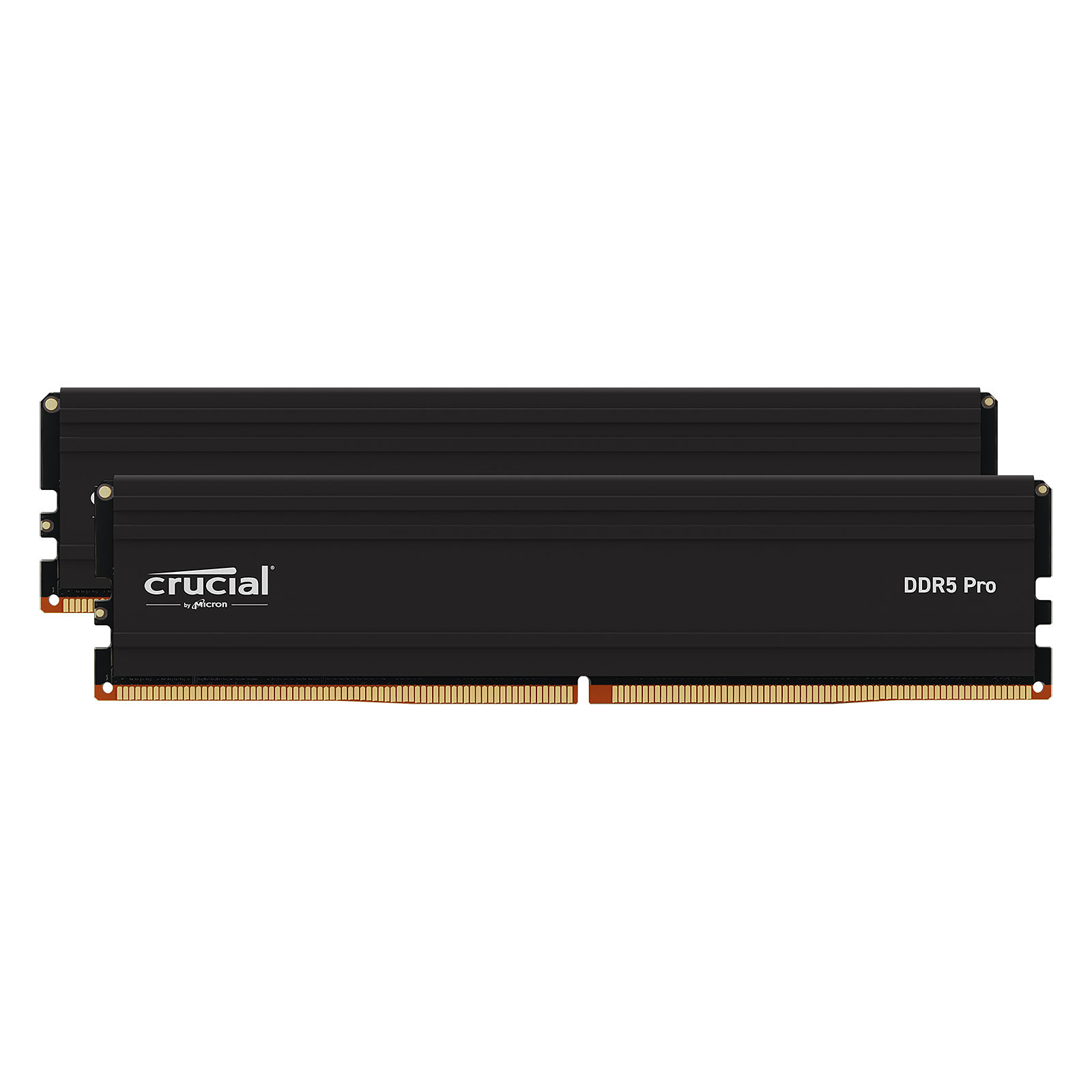 CRUCIAL Pro DDR5 48 Go (2 x 24 Go) 5600 MHz CL46
