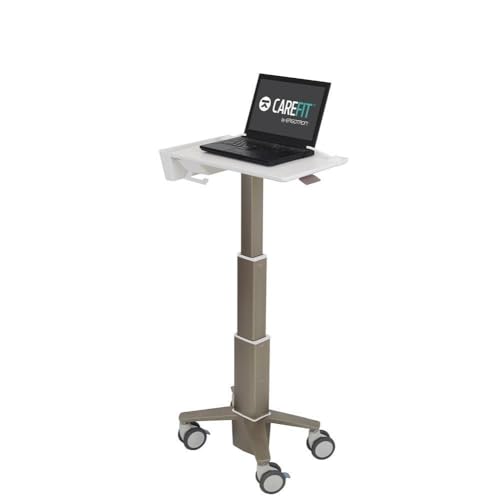 Ergotron Ergotron CareFit