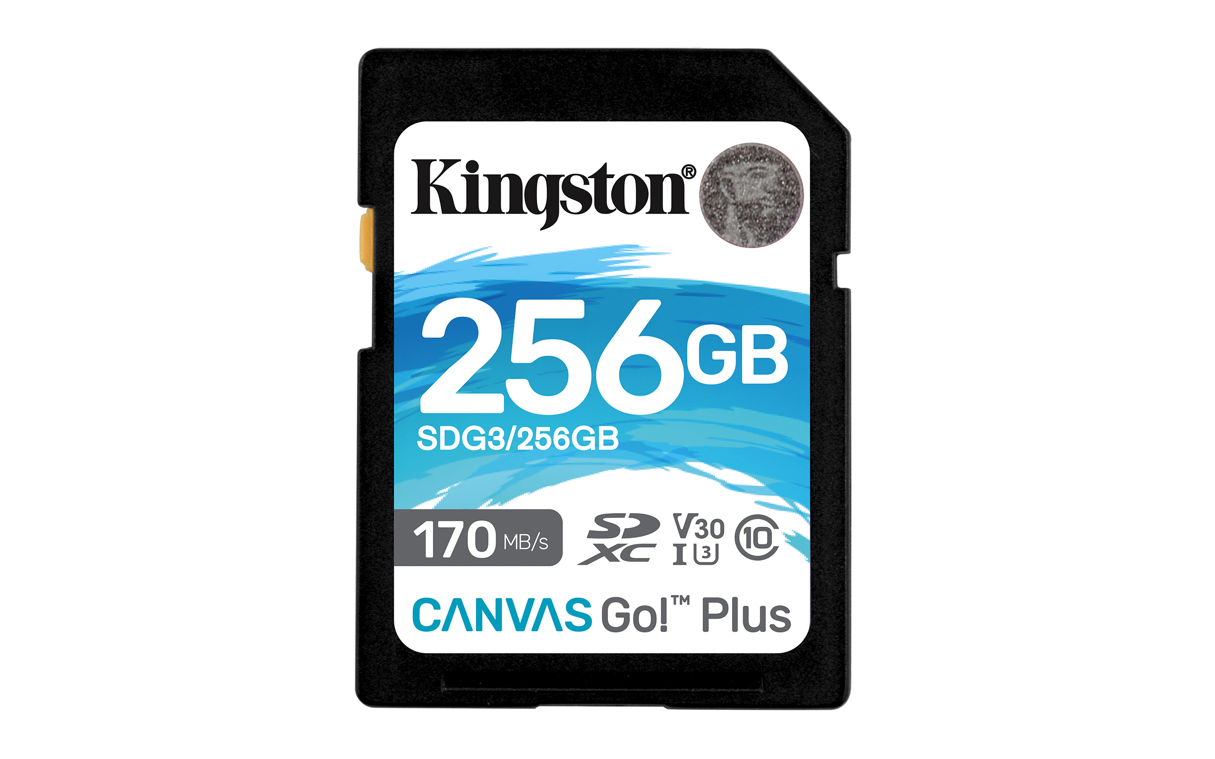KINGSTON - Modèle : 256GB SDXC Canvas170R C10 UHS-I U3 V30
