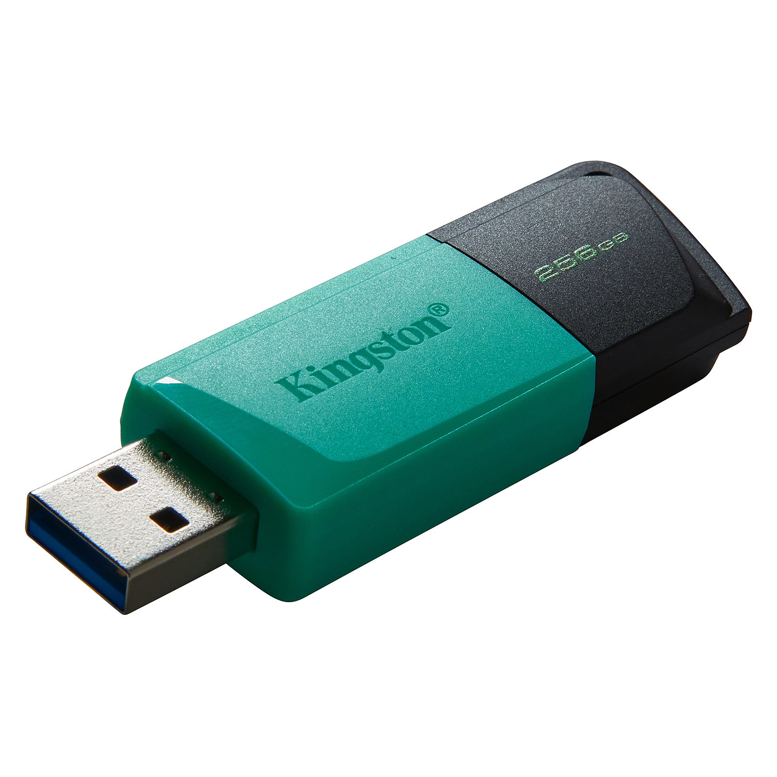 KINGSTON 256Go DataTraveler Exodia M