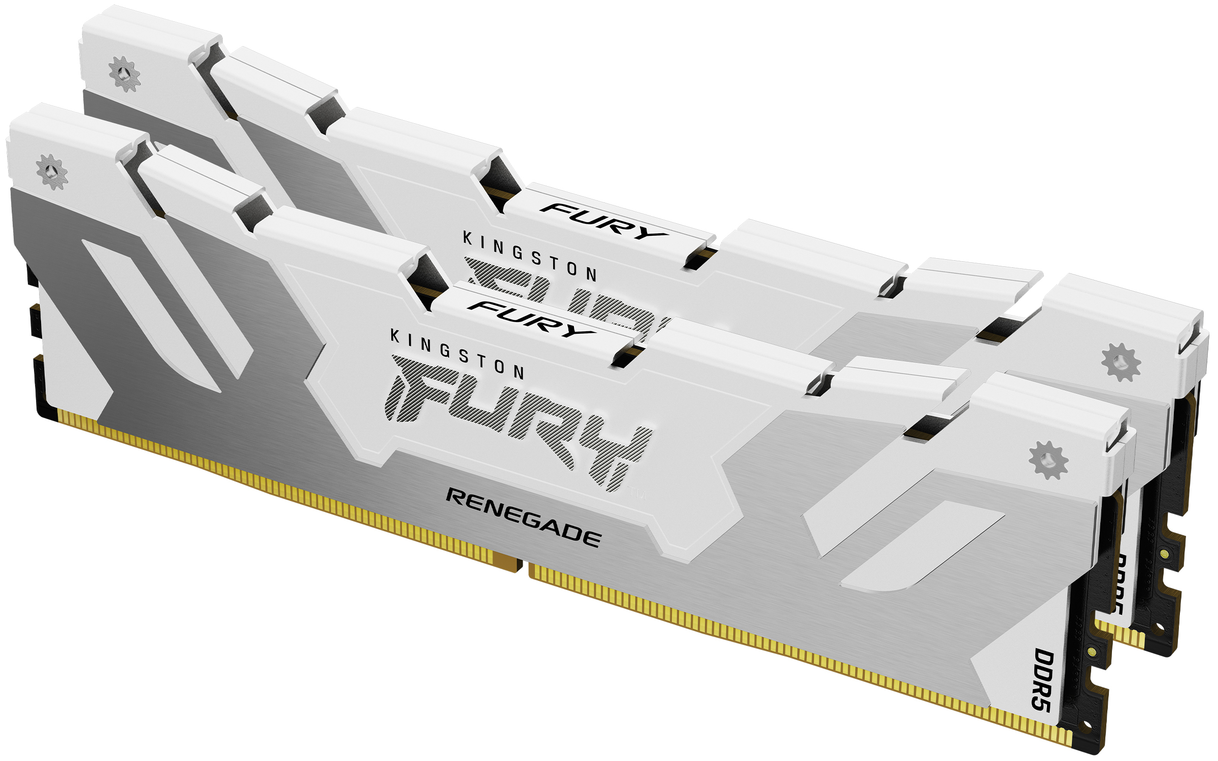KINGSTON FURY Renegade - DDR5 - 32 Go