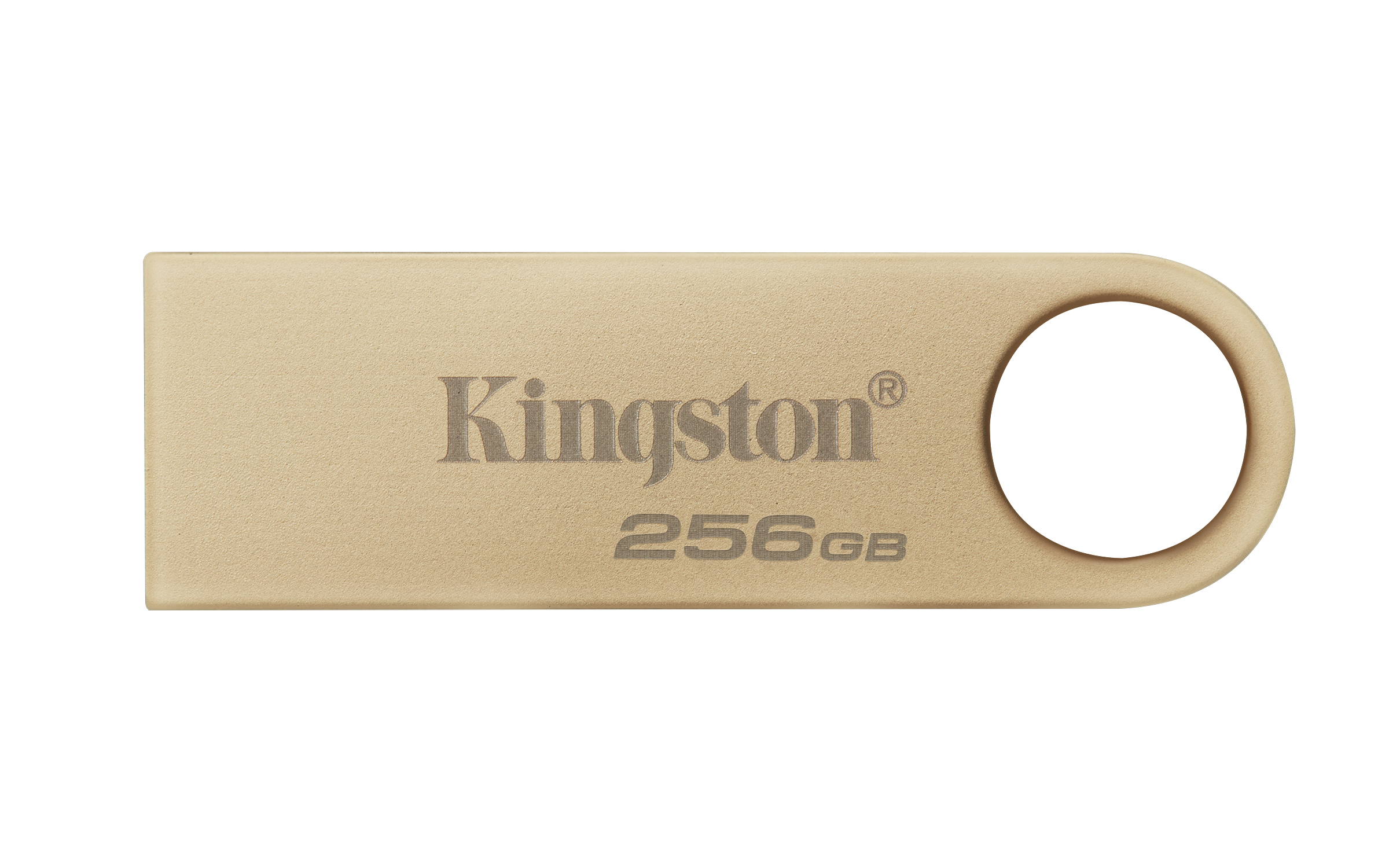 KINGSTON 256Go 220Mo/s Metal USB 3.2 Gen 1 DataTraveler SE9 G3