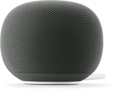 GOOGLE Assistant vocal  Home Speaker Vert Sauge