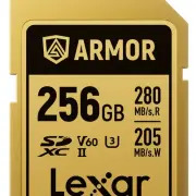 Lexar Carte mémoire  SDXC PRO GOLD ARMOR 256 V 60