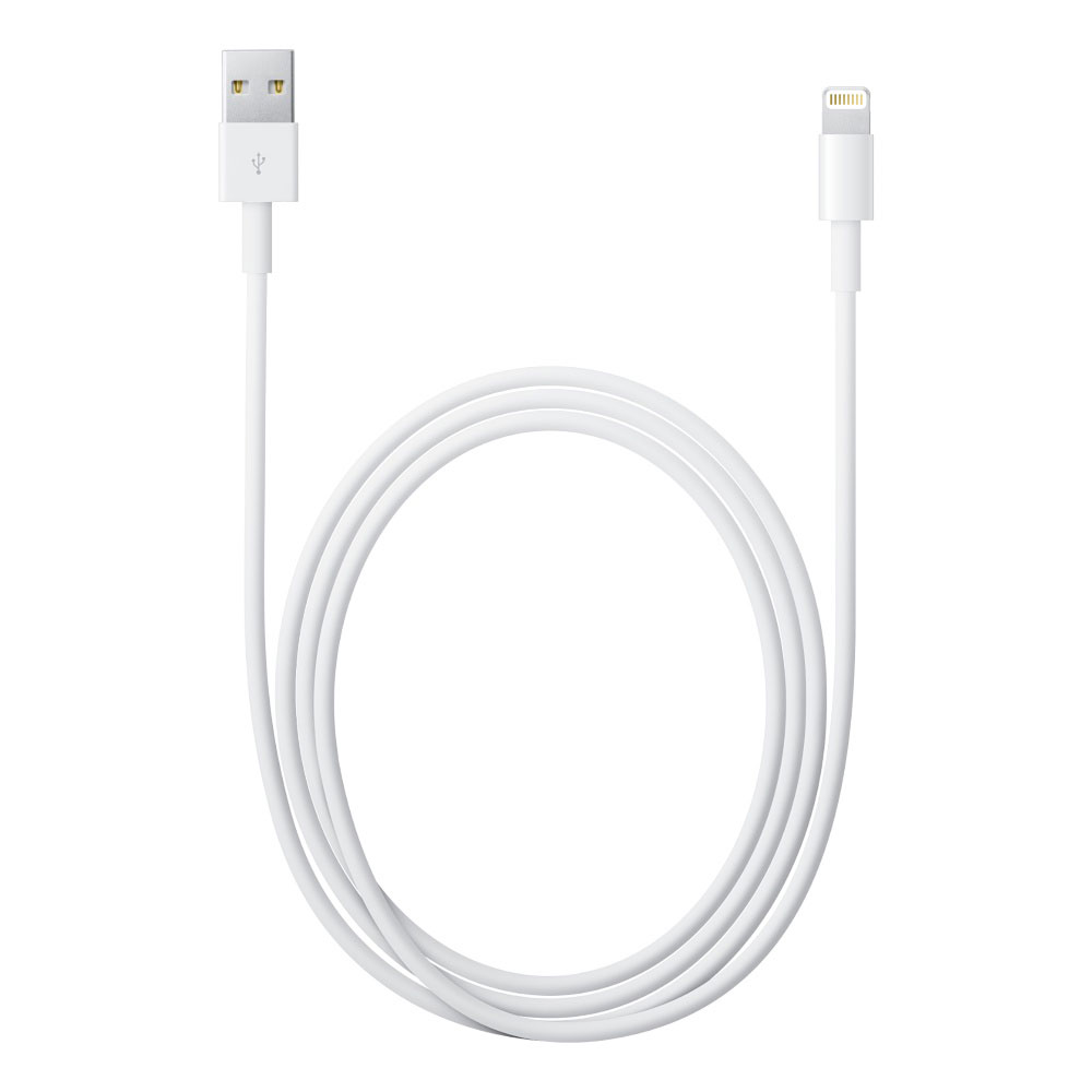 APPLE Câble Lightning vers USB