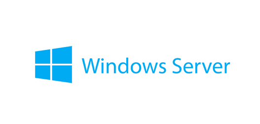 LENOVO Microsoft Windows Server 2025 Standard
