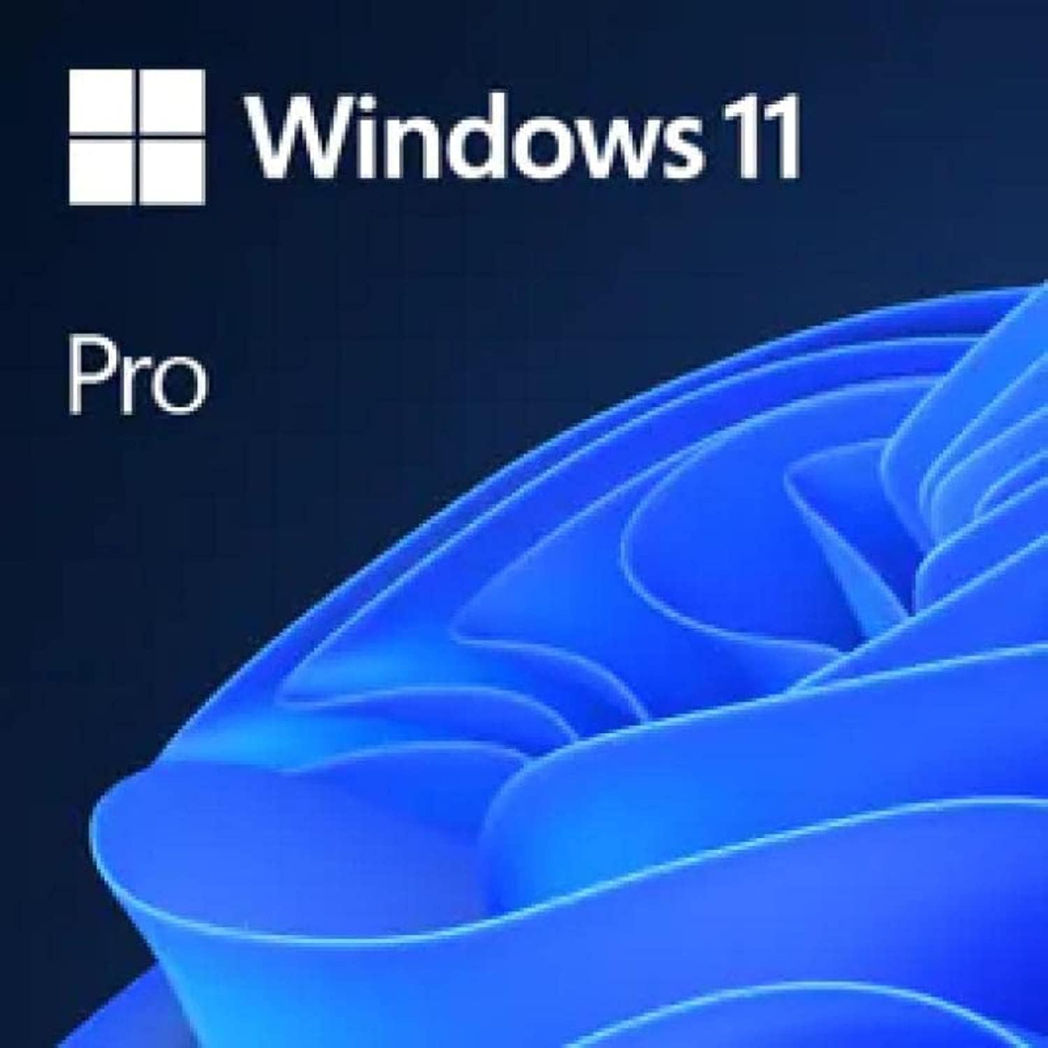 Microsoft Windows 11 Pro 64 Bit