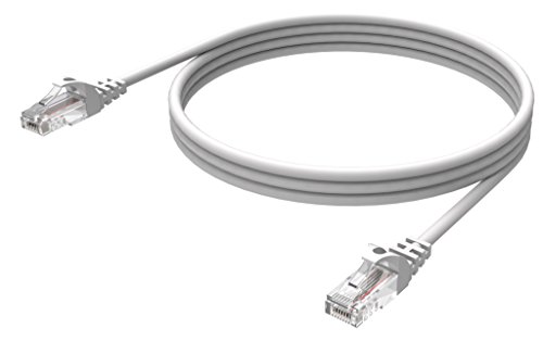 VISION RJ45 (m) à RJ45 (m)