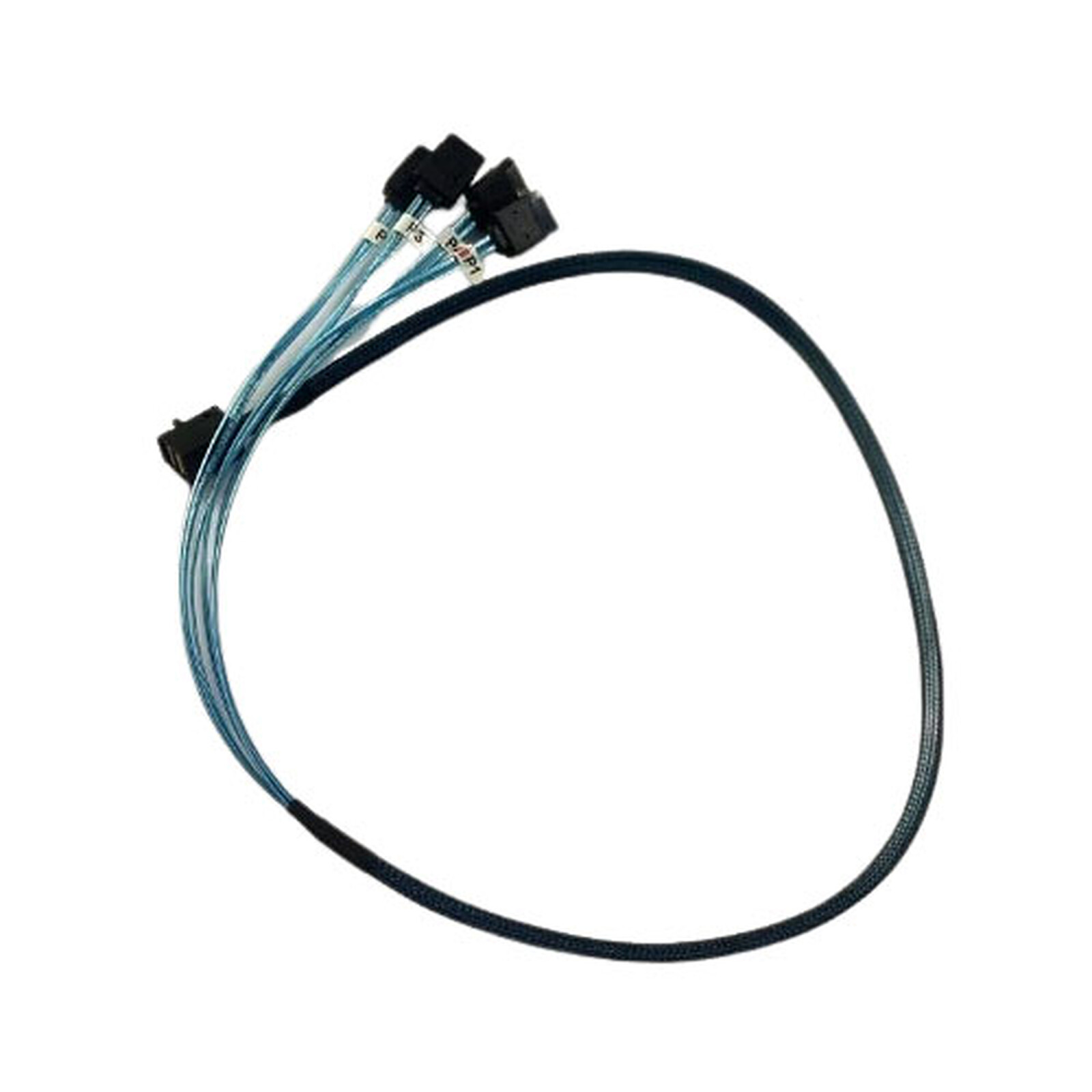 TEXTORM TEXTORM Câble Mini-SAS vers 4x SATA