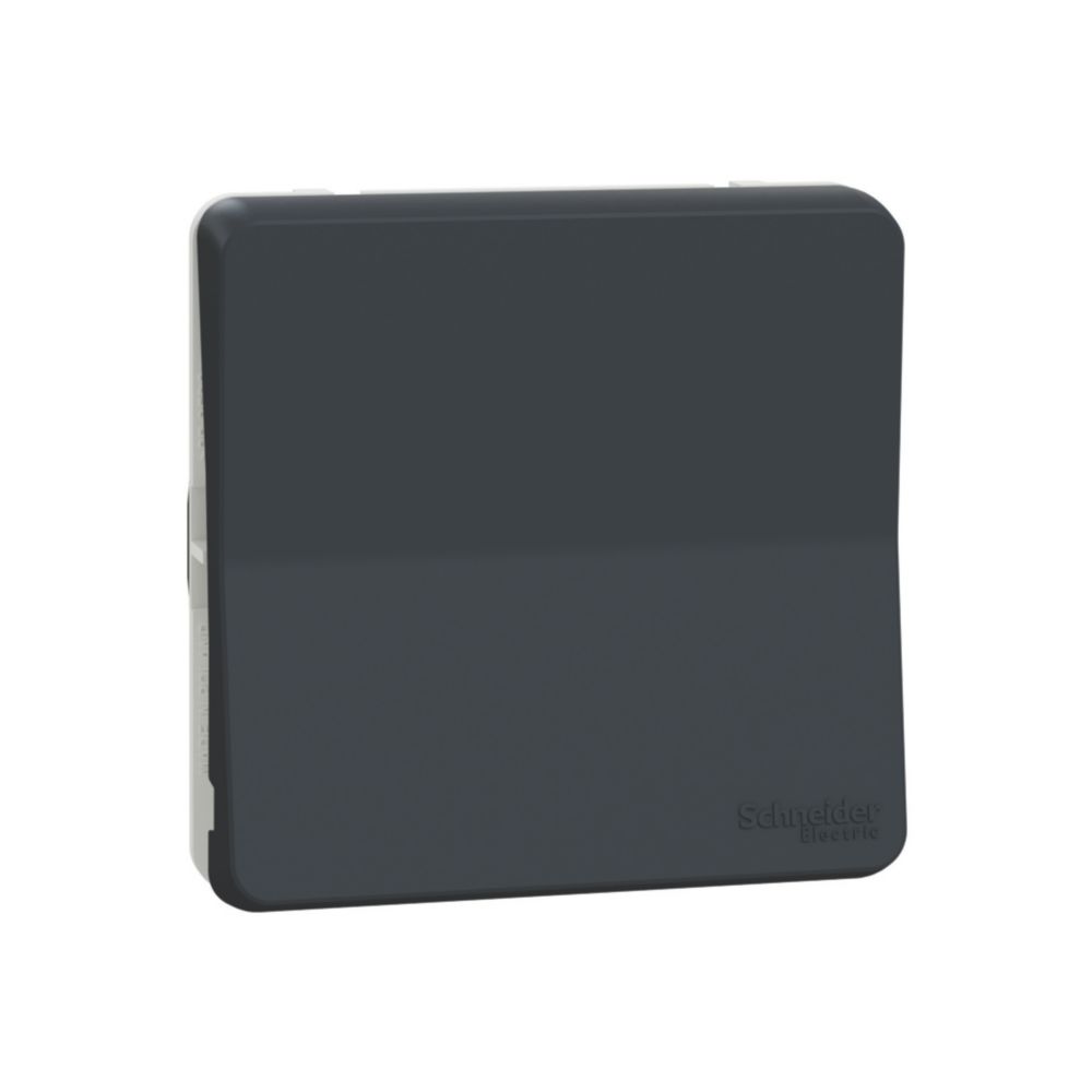Schneider Va-et-vient étanche étanche composable Mureva 1 poste gris Schneider