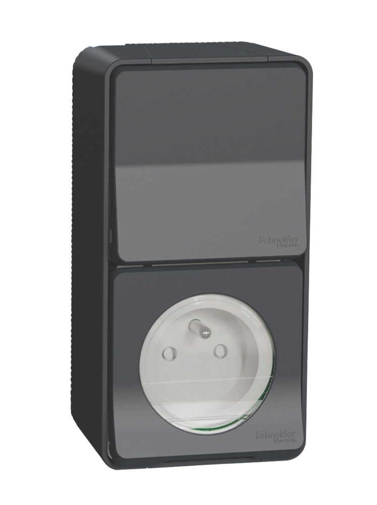 Schneider Prise terre + va-et-vient vertical étanche complet Mureva 2 postes gris Schneider