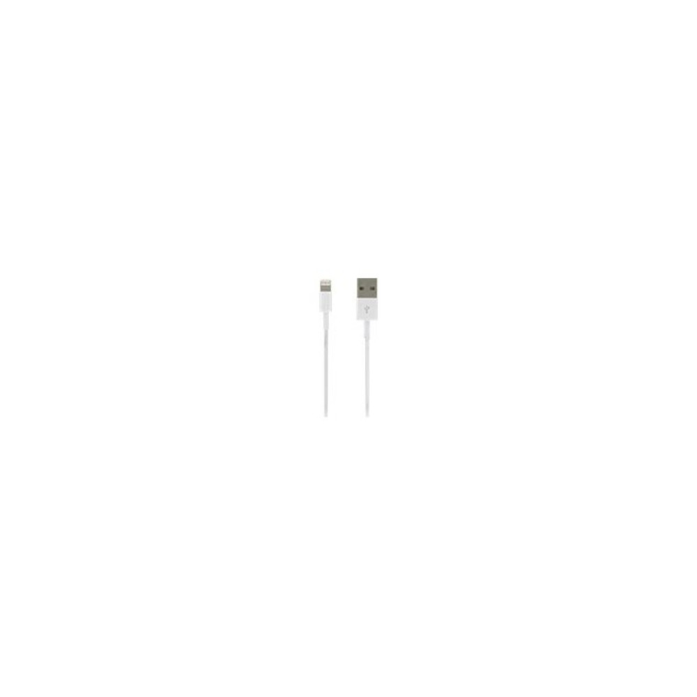 DLH - Câble Lightning - USB mâle pour Lightning mâle - 1 m - blanc