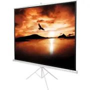 INSTAAL Ecran de vidéoprojection INSTRI170B