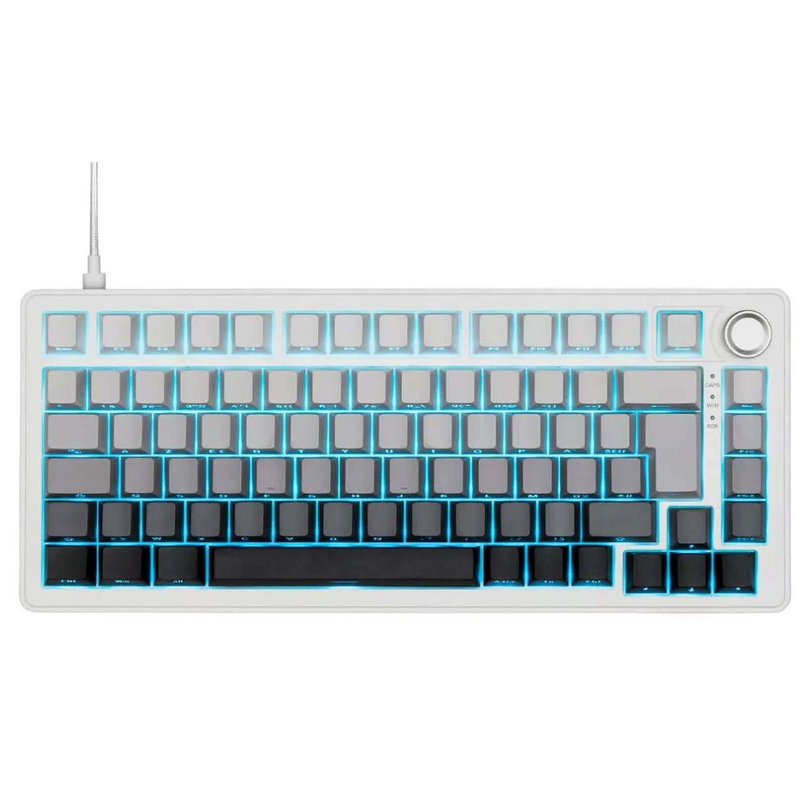 The G-Lab Keyz Elite 300 (Gris/Blanc)