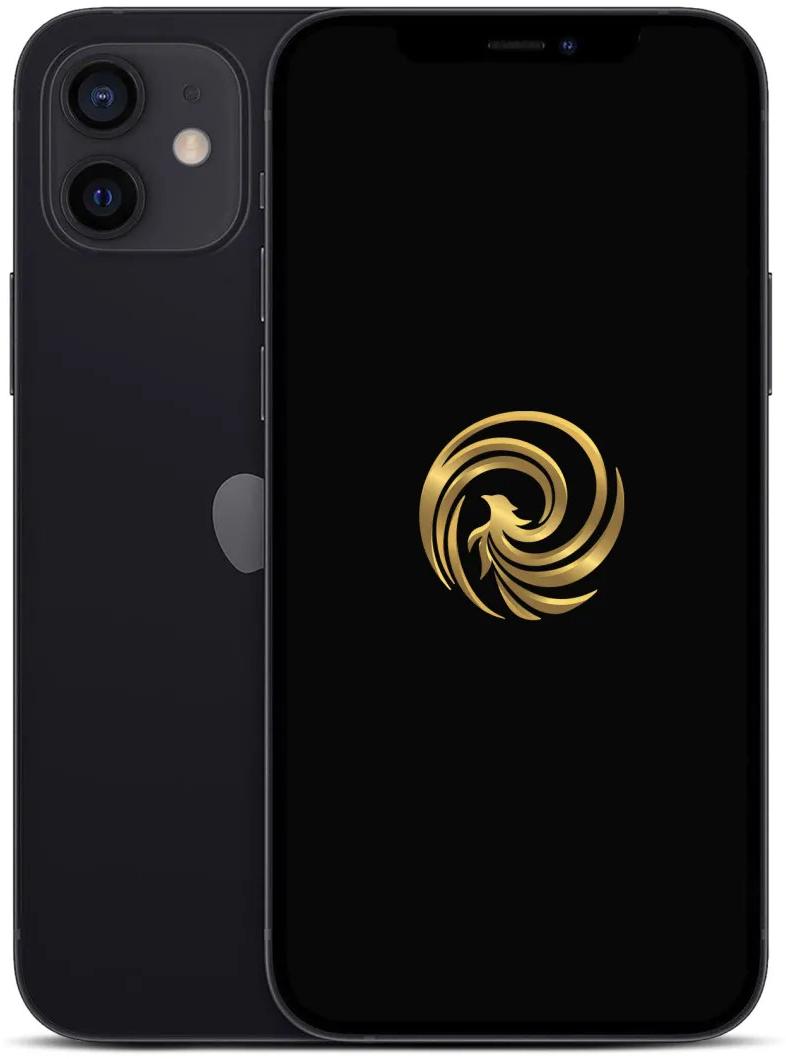Reborn iPhone 12 64Go Noir 5G Reconditionne Grade A