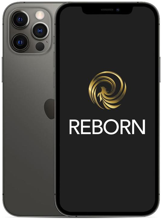 Reborn iPhone 12 Pro 256Go Gris 5G Reconditionne Grade A