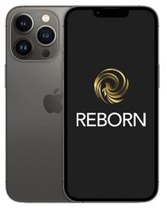 APPLE iPhone 13 Pro Max 128GO Graphite 5G Reconditionne Grade A