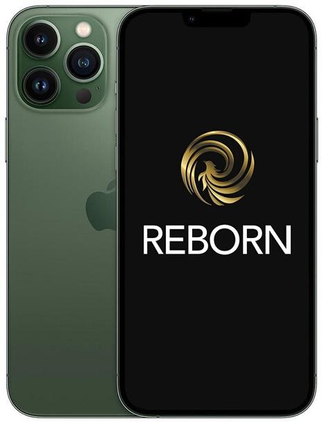 Reborn iPhone 13 Pro Max 128Go Vert 5G Reconditionne Grade A