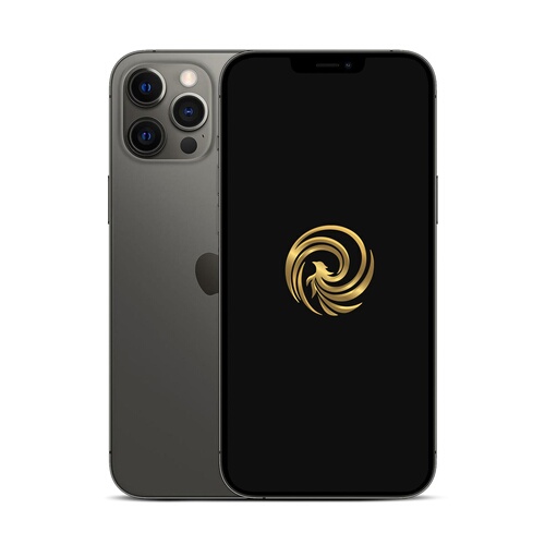 Reborn iPhone 12 Pro Max Graphite 256Go Reconditionne Grade A