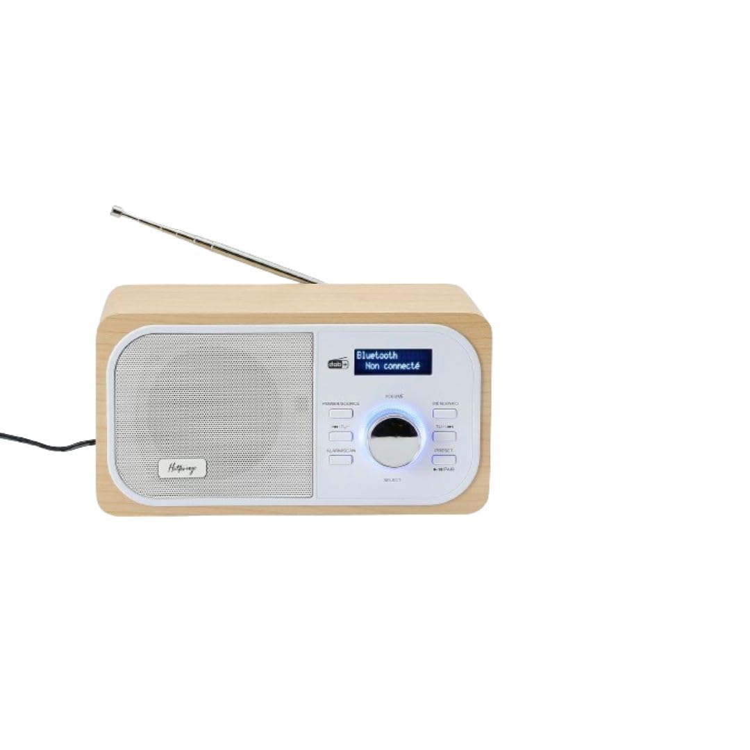 Halterrego Radio DAB+/DAB/FM, connexion Bluetooth, double alarme, écran LCD, Luminosité rég