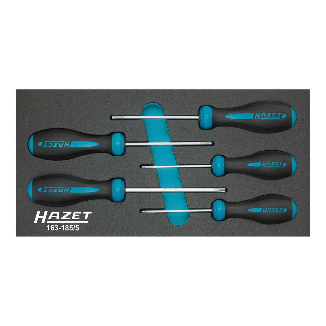 Hazet Jeu de tournevis HEXAnamic® 163-185/5