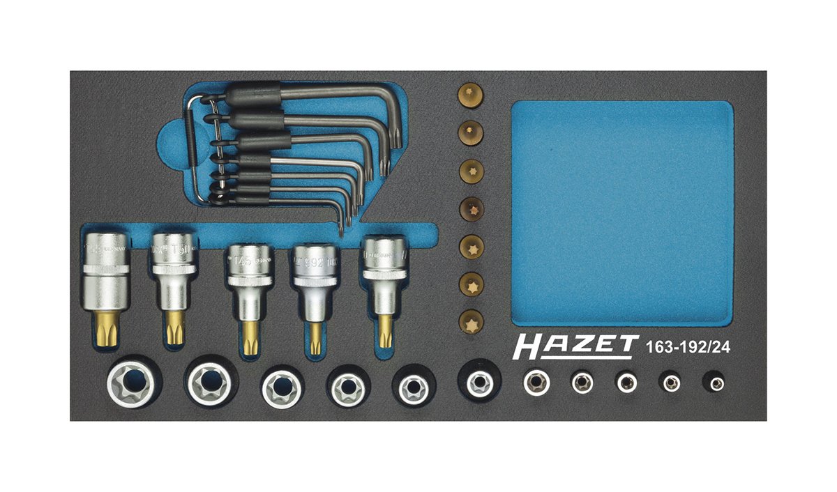 Hazet Steckschlüsseleinsatz-Satz TORX 163-192/24