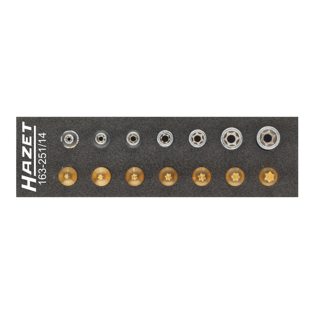 Hazet Jeu d'outils · TORX® 163-251/14