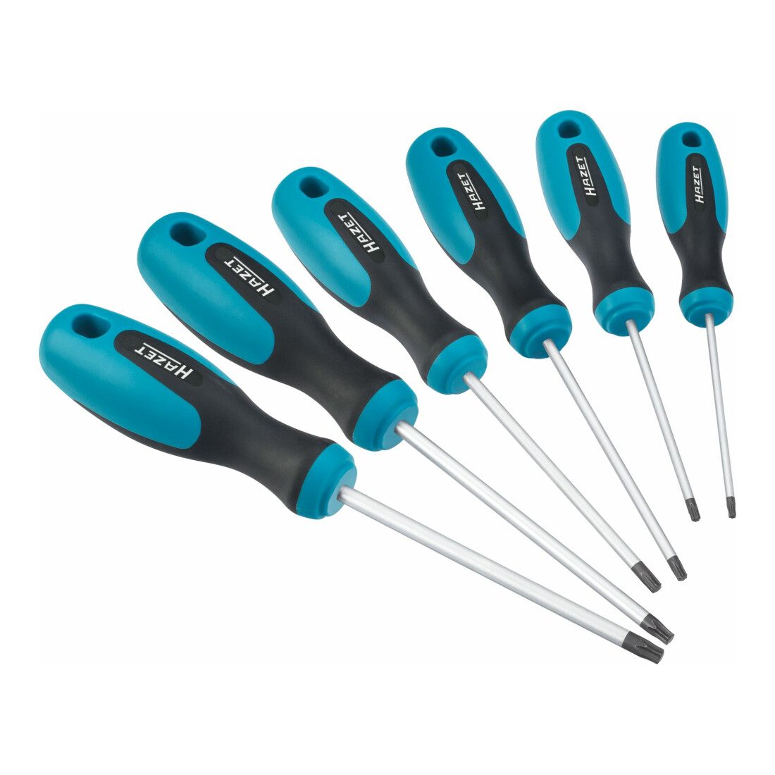 Hazet Jeu de tournevis 810T/6