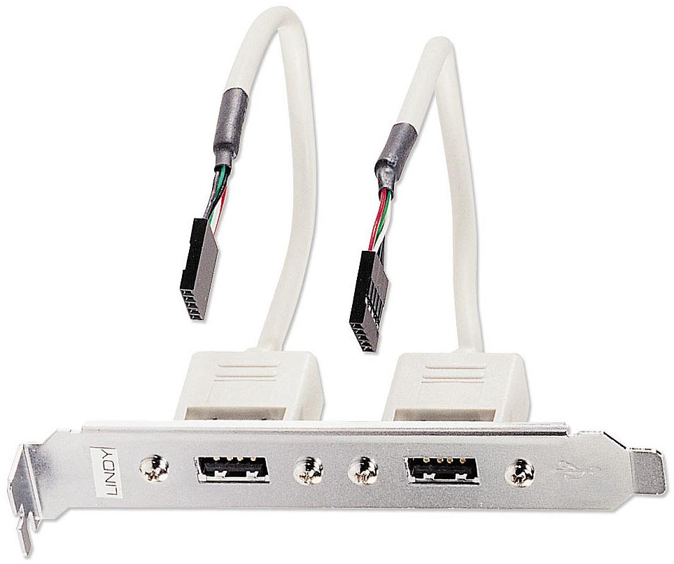 Lindy Cache d'emplacement 2 ports USB 3.0 type A™