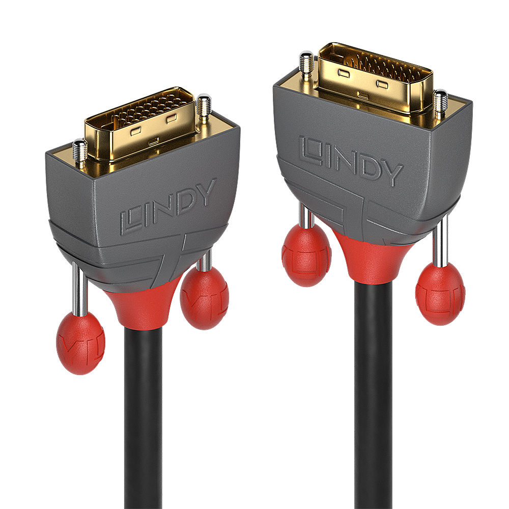 Lindy Câble DVI-D Dual Link Anthra Line 0.5m