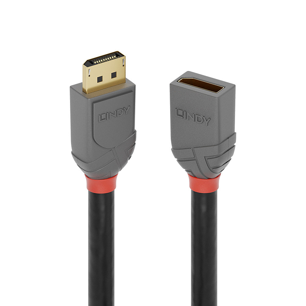 Lindy 0.5m DisplayPort Extension Cable Anthra Line