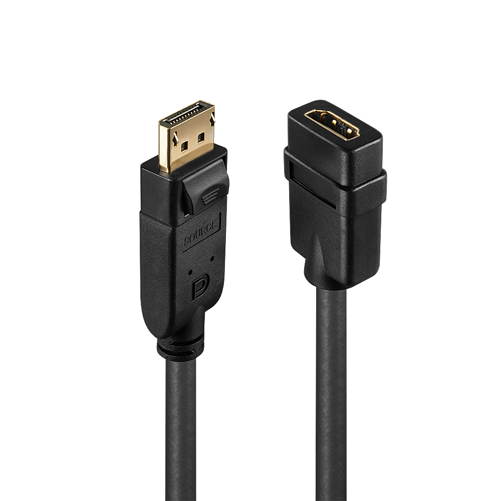 Lindy Câble adaptateur DisplayPort mâle 1.1 vers HDMI femelle (Type A) 10cm (Noir)