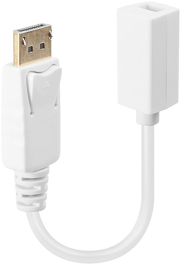 Lindy DisplayPort DPM/Mini-DPF Adapter Cable 15cm