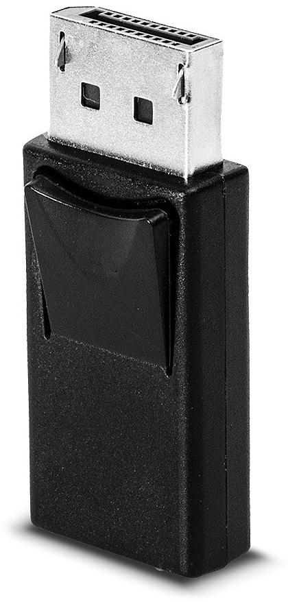 Lindy Adaptateur DisplayPort vers mini DisplayPort