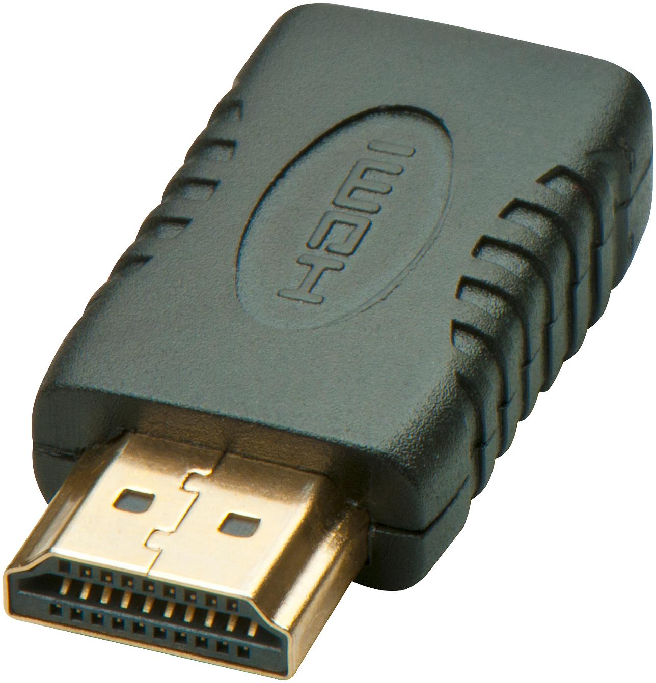Lindy Adaptateur Mini HDMI femelle (Type C) vers HDMI mâle (Type A) (Noir)