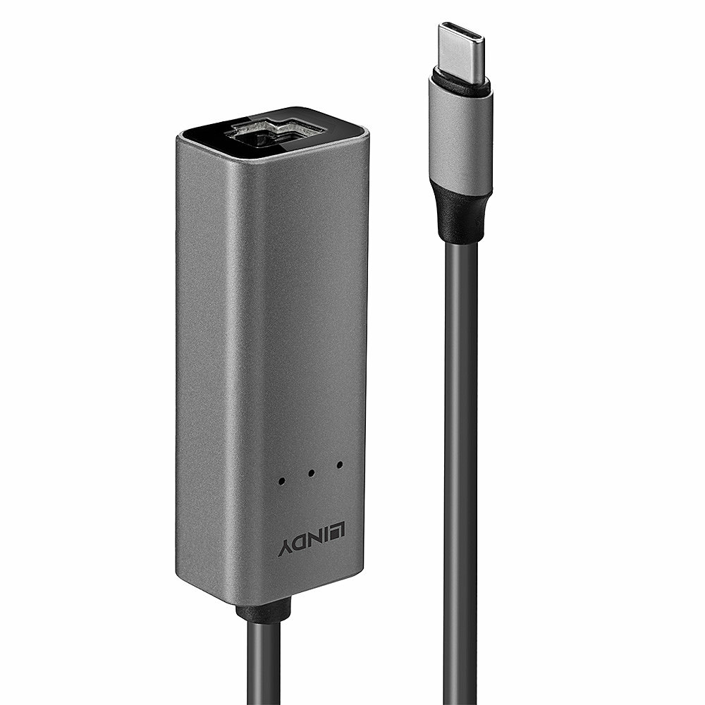 Lindy Carte Réseau USB 3.1 Type C vers RJ45 2,5 Gigabit (Gris)