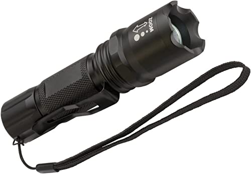 Brennenstuhl Lampe de poche LED Lux Premium TL250F