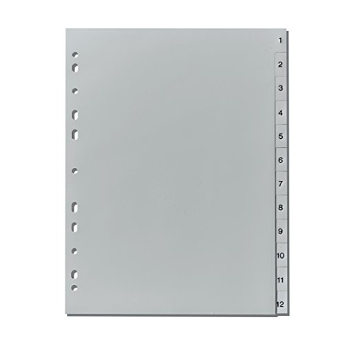 Herlitz Ordnerregister A4 1-12 PP grau