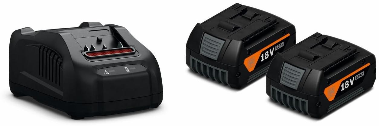 Bosch Professional Pack de 2 batteries 18V GBA 5Ah AS AMPShare avec chargeur