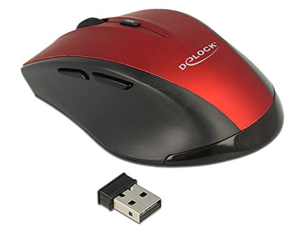 DeLock Souris sans fil ergonomique